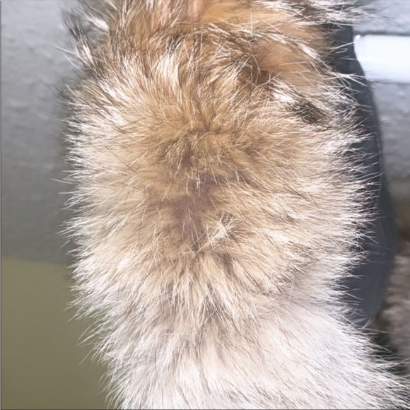 Women’s Trillium Oarka Canada Goose - Picture 8 of 8